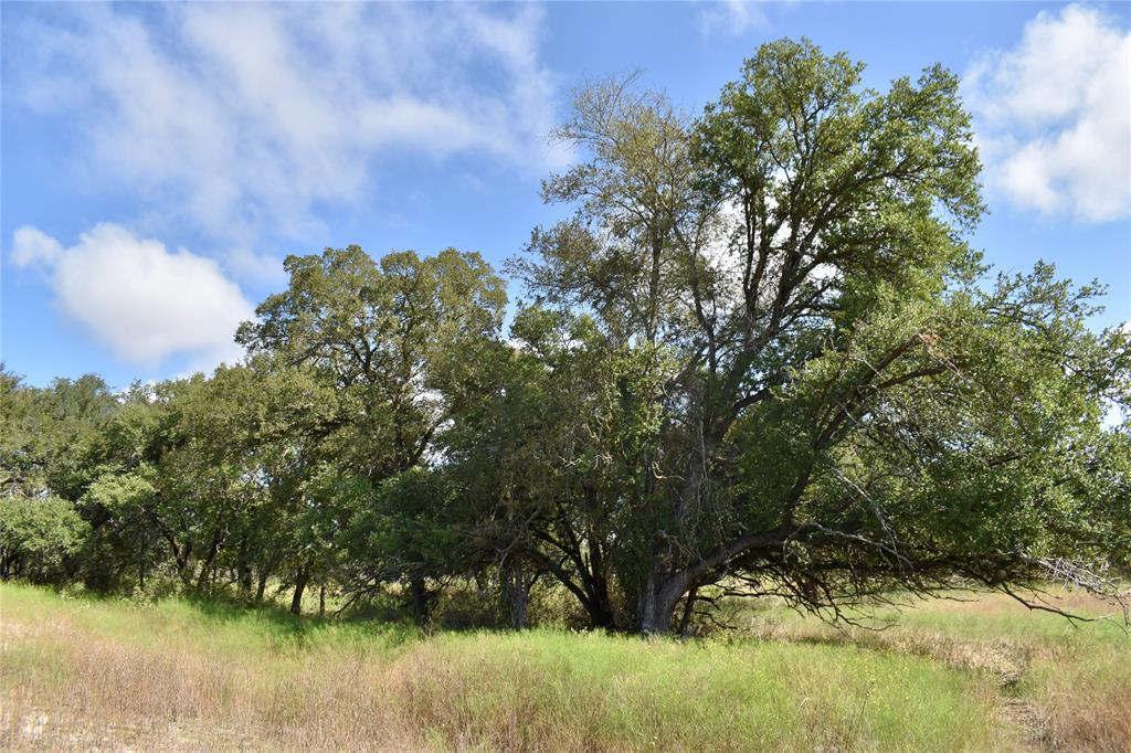 600 County Rd 370 Property Photo 15