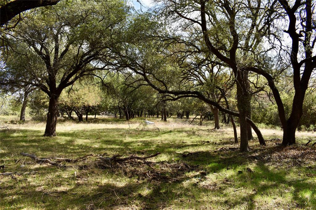 600 County Rd 370 Property Photo 16