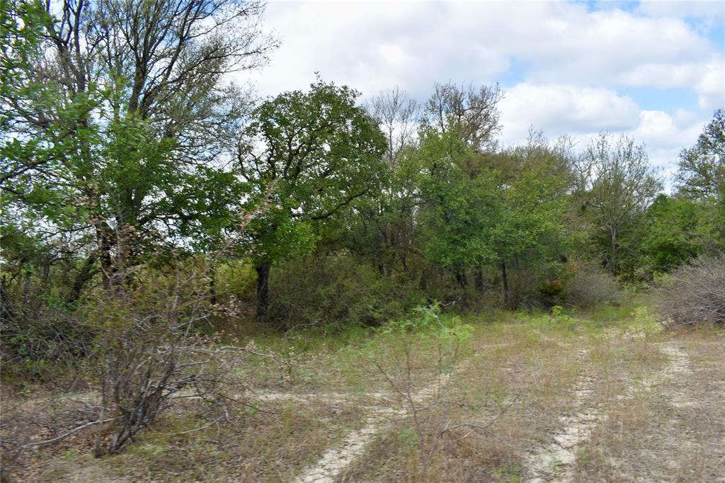 600 County Rd 370 Property Photo 19