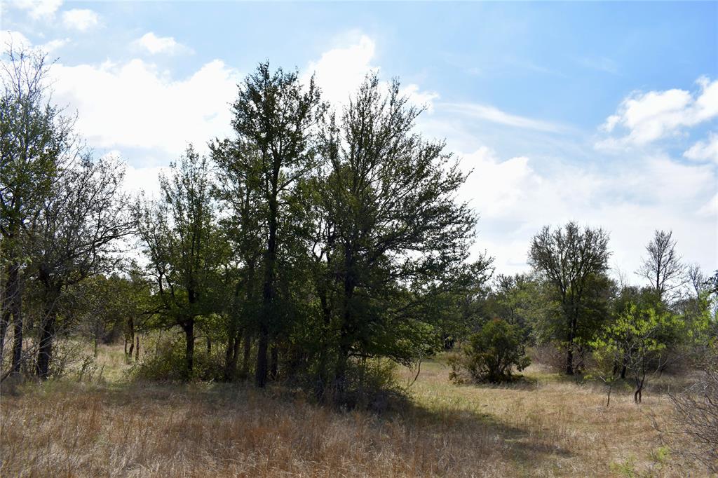 600 County Rd 370 Property Photo 23