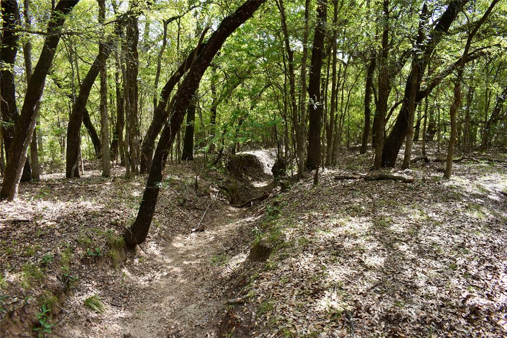 600 County Rd 370 Property Photo 30