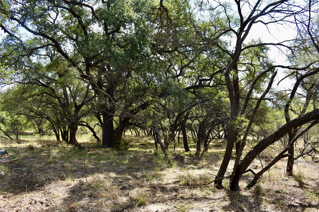 600 County Rd 370 Property Photo 31