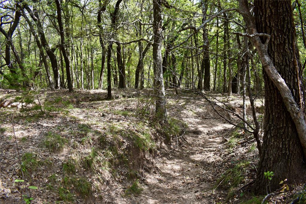 600 County Rd 370 Property Photo 35