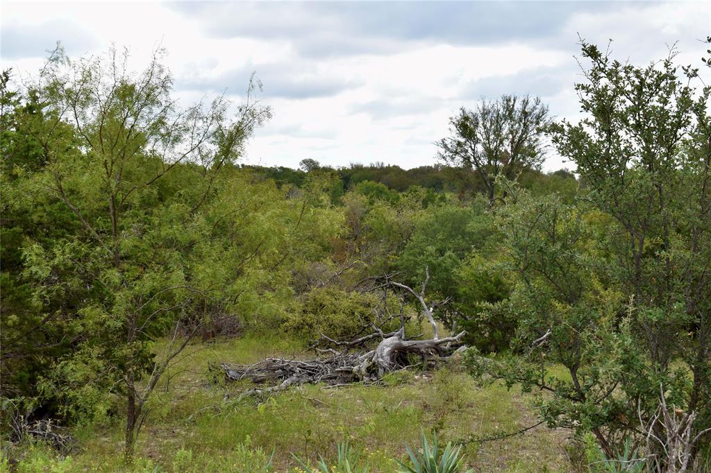 600 County Rd 370 Property Photo 37