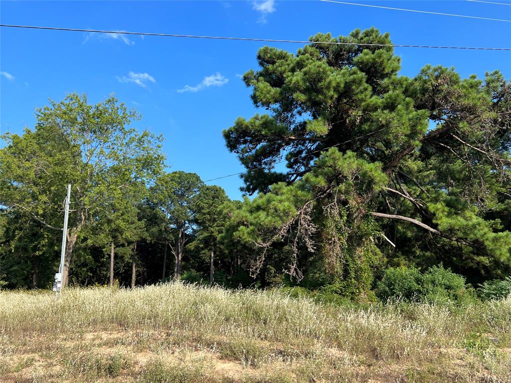 Tbd Fm 1801 Property Photo 8