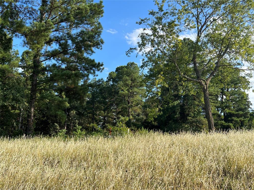 Tbd Fm 1801 Property Photo 9
