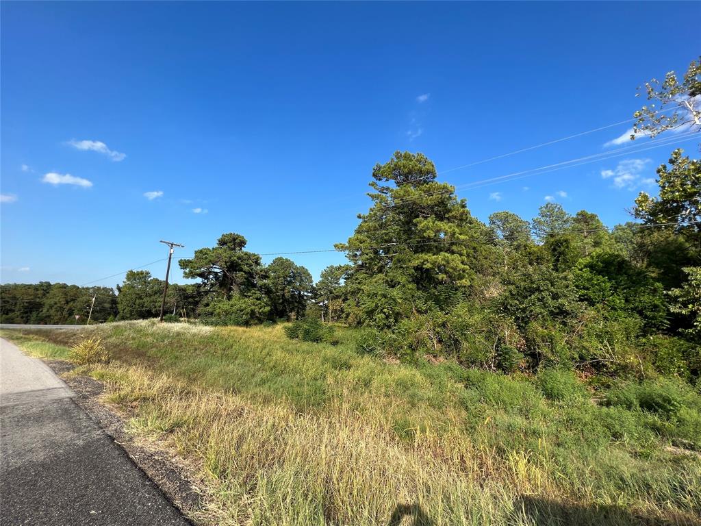 Tbd Fm 1801 Property Photo 10