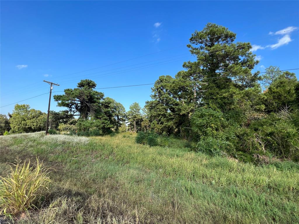 Tbd Fm 1801 Property Photo 11
