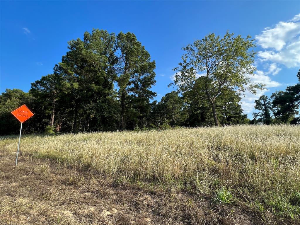 Tbd Fm 1801 Property Photo 12