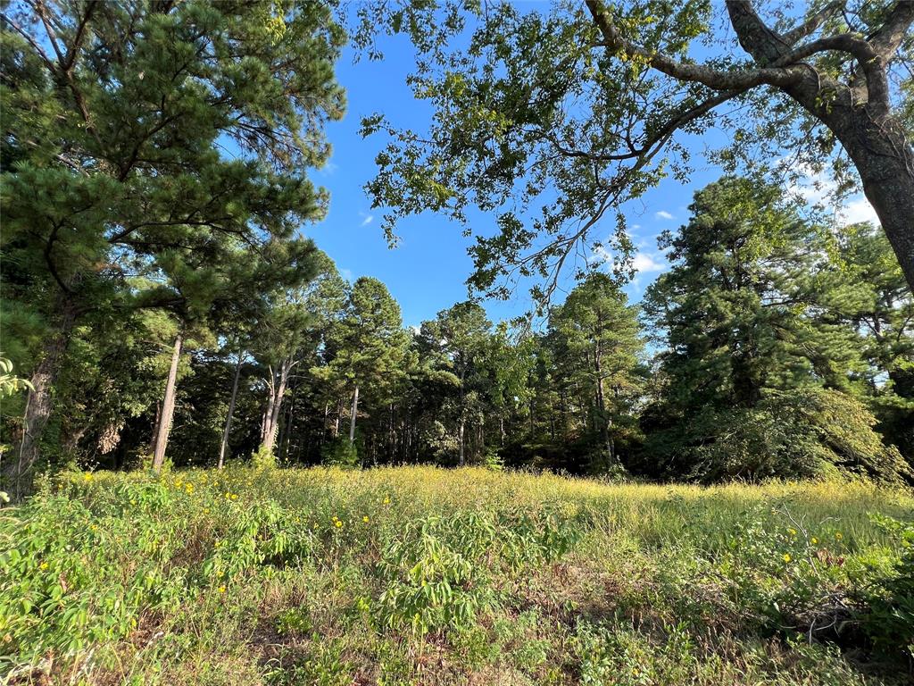 Tbd Fm 1801 Property Photo 13