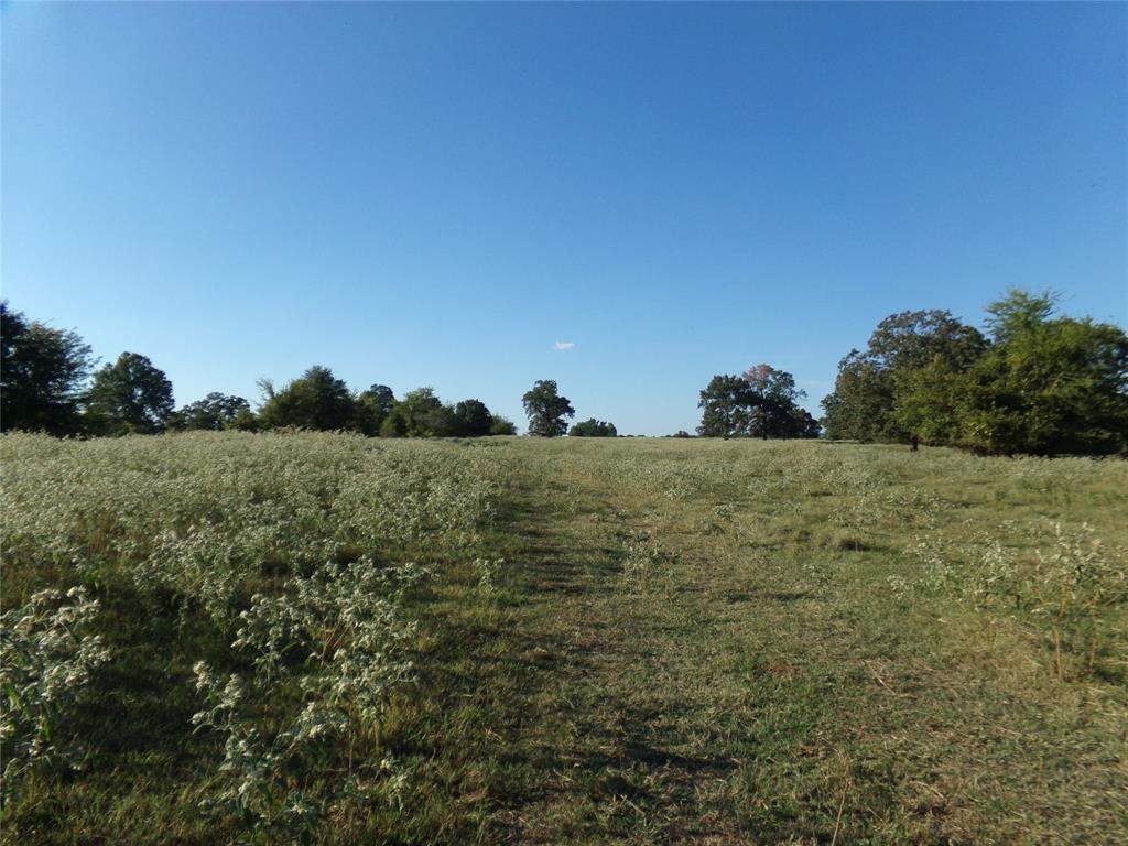 1753 Fm 194 Property Photo 1