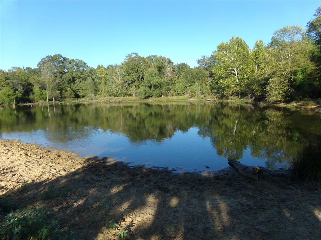 1753 Fm 194 Property Photo 2