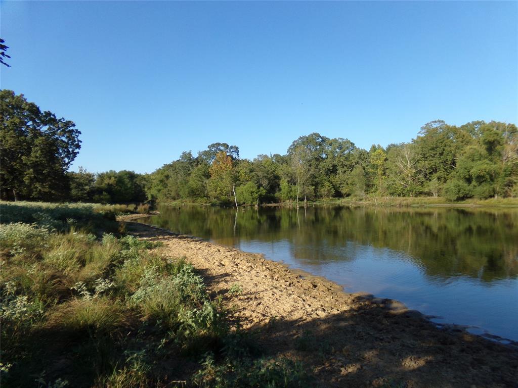 1753 Fm 194 Property Photo 3