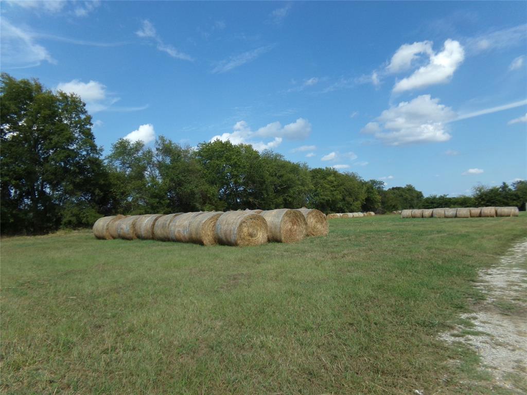 1753 Fm 194 Property Photo 4