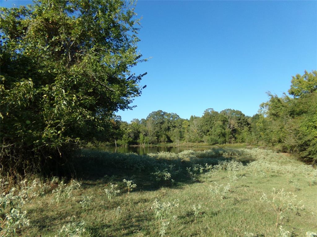 1753 Fm 194 Property Photo 14