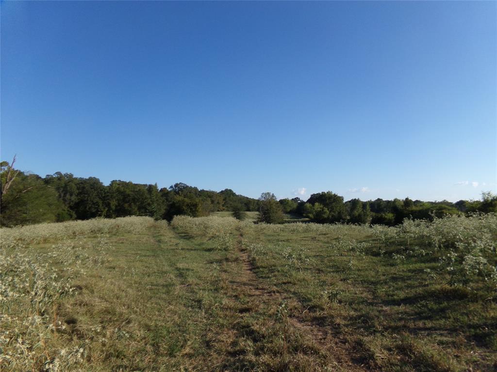 1753 Fm 194 Property Photo 15