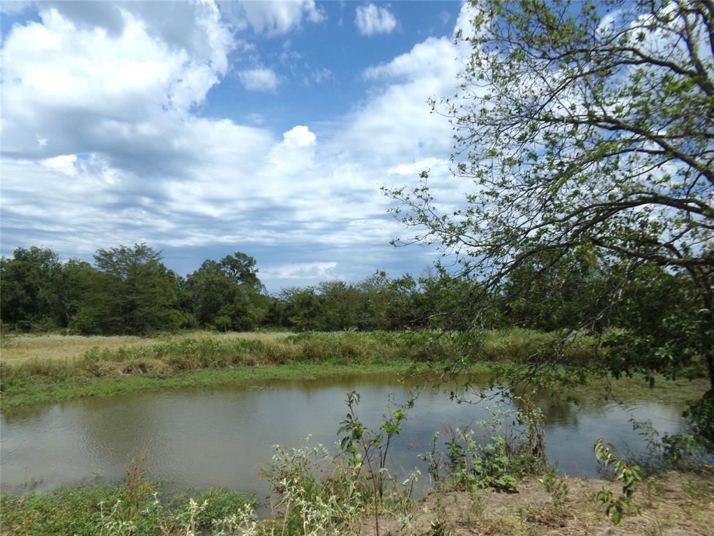 1753 Fm 194 Property Photo 16