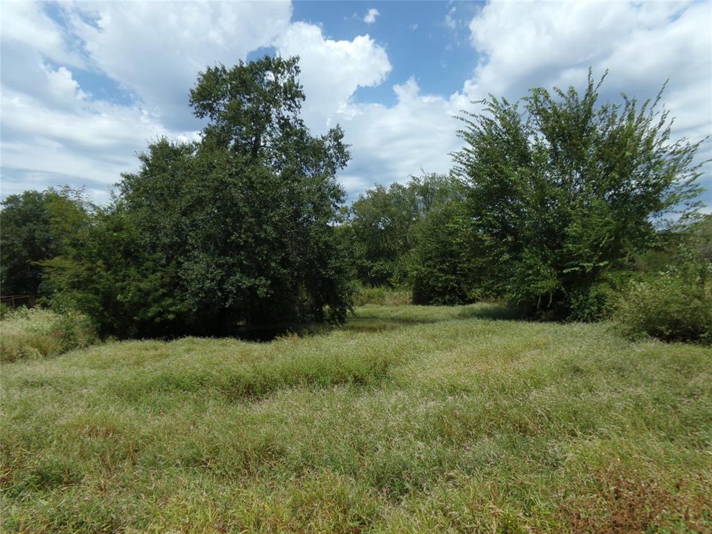 1753 Fm 194 Property Photo 17
