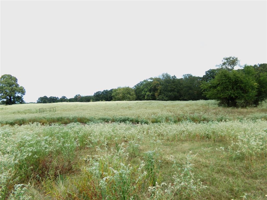 1753 Fm 194 Property Photo 18