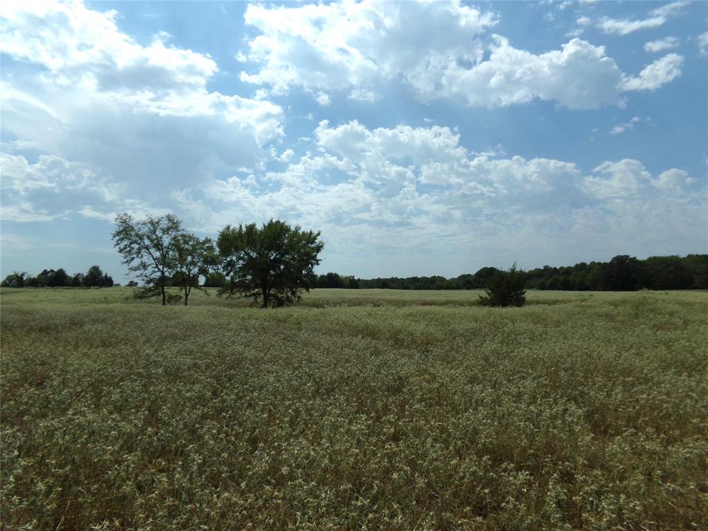 1753 Fm 194 Property Photo 19