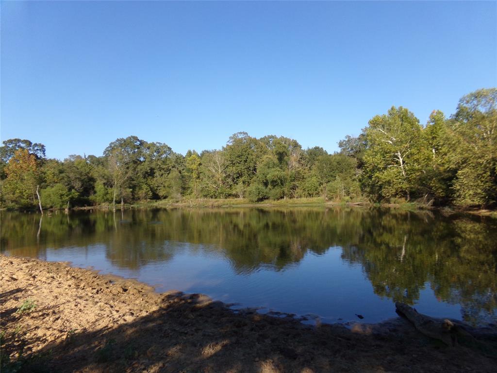 1753 Fm 194 Property Photo 20
