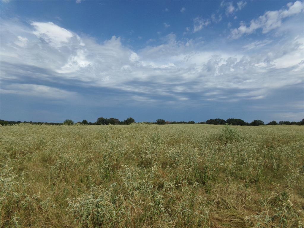 1753 Fm 194 Property Photo 21