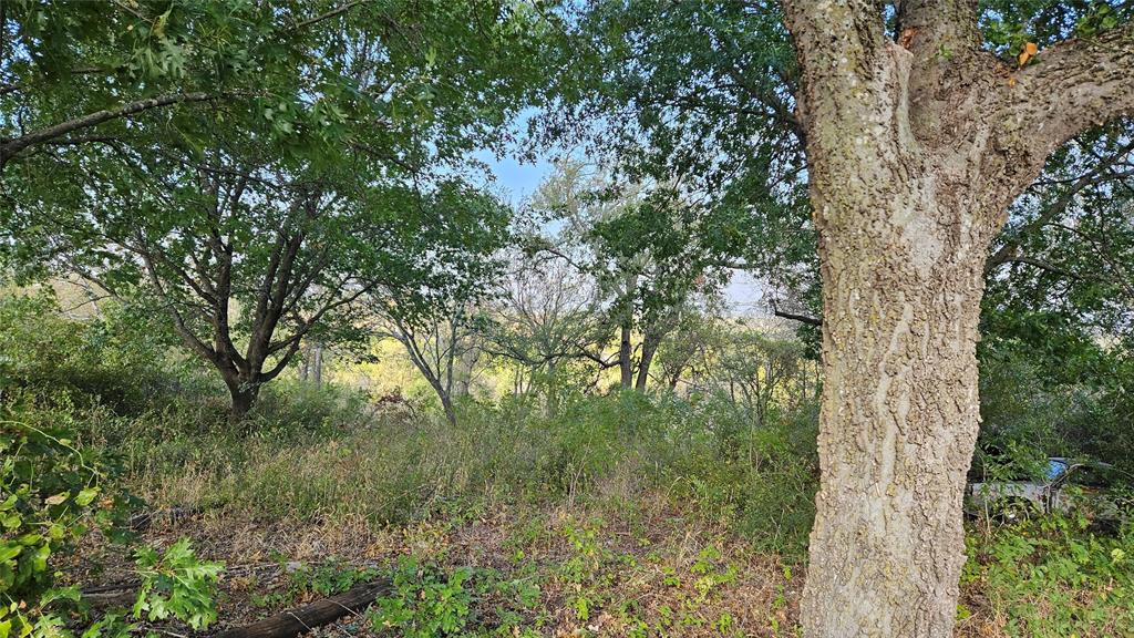 5889 Bear Creek Drive Property Photo 1