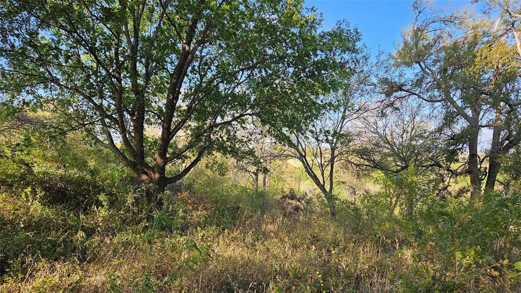 5889 Bear Creek Drive Property Photo 2