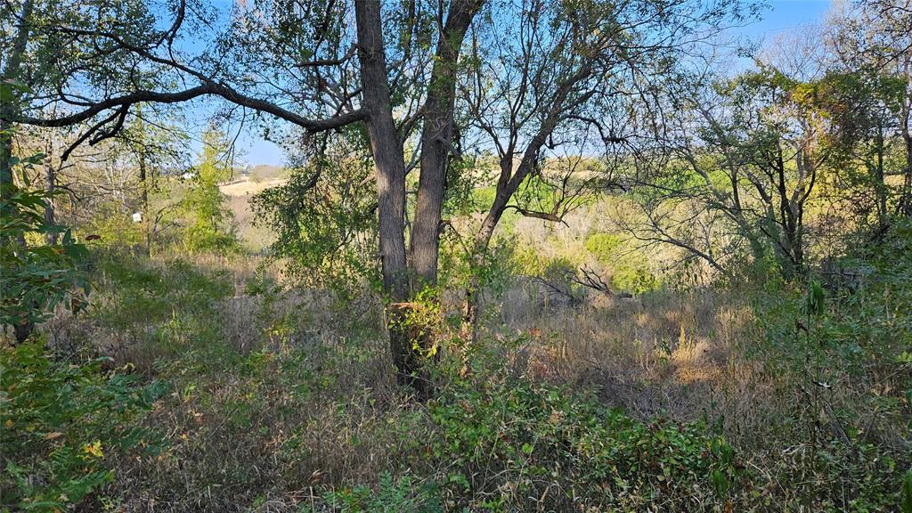 5889 Bear Creek Drive Property Photo 3