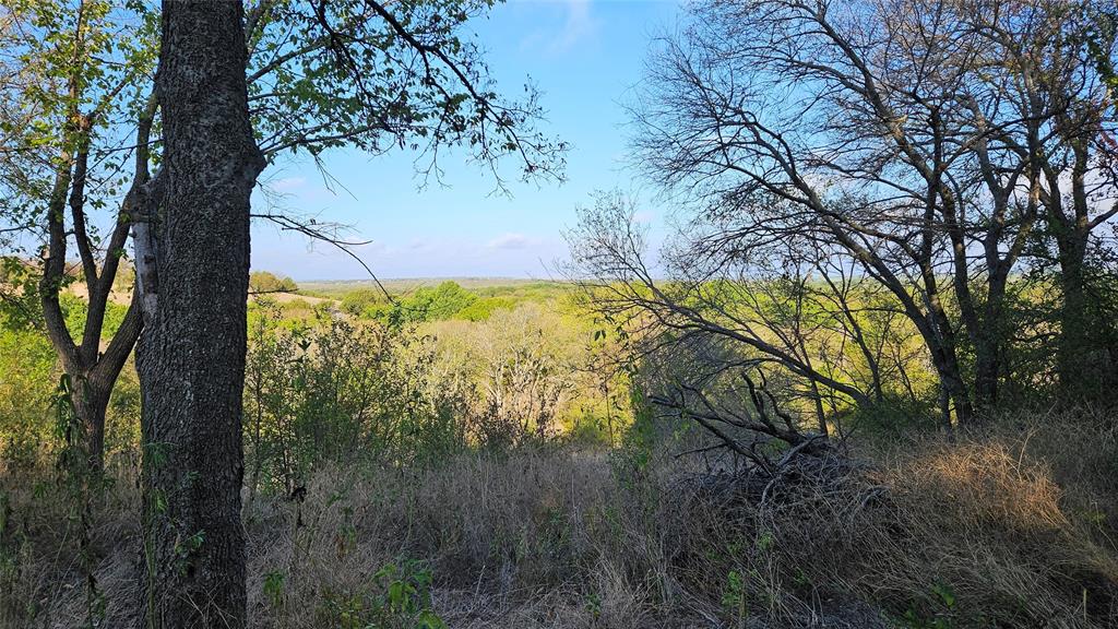 5889 Bear Creek Drive Property Photo 4