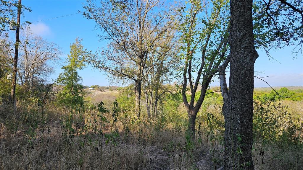 5889 Bear Creek Drive Property Photo 5