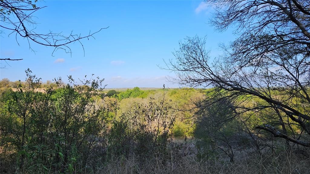 5889 Bear Creek Drive Property Photo 6