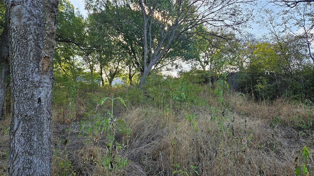 5889 Bear Creek Drive Property Photo 7