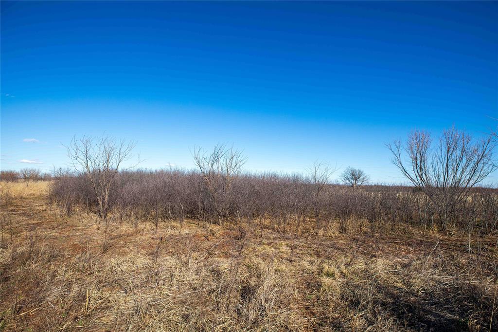 Tbd Cr 250 Property Photo 15