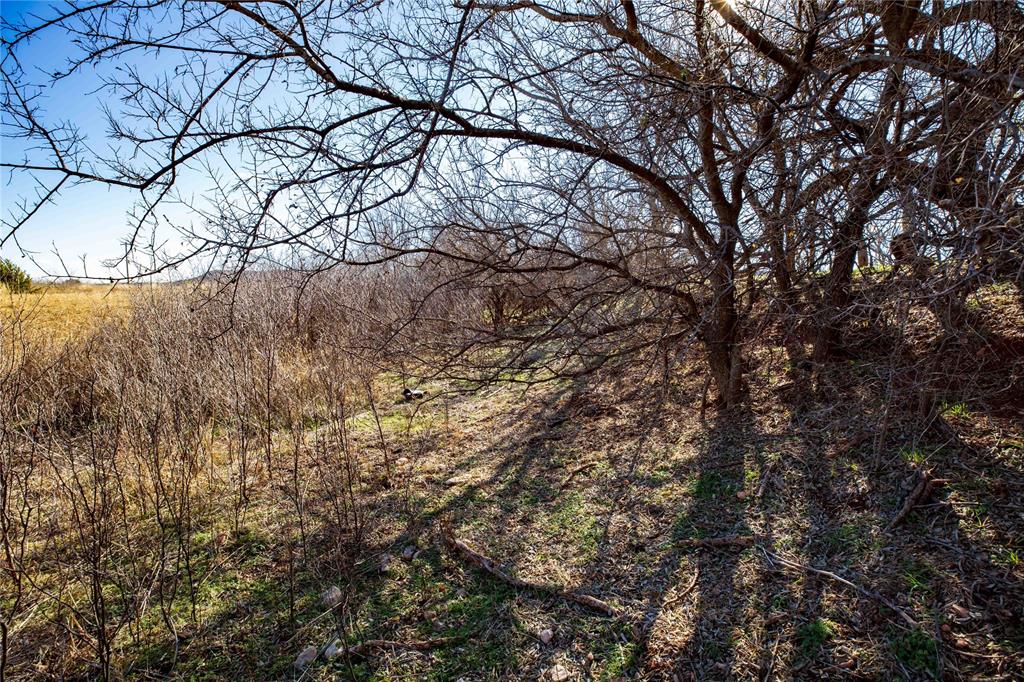 Tbd Cr 250 Property Photo 18
