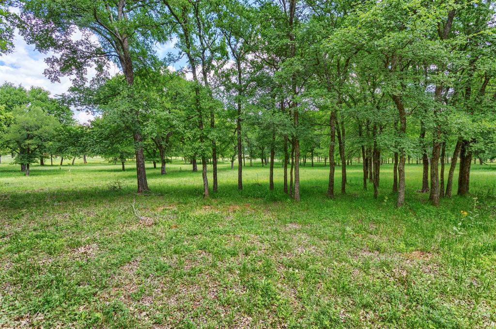 5504 County Road 605 Property Photo 4
