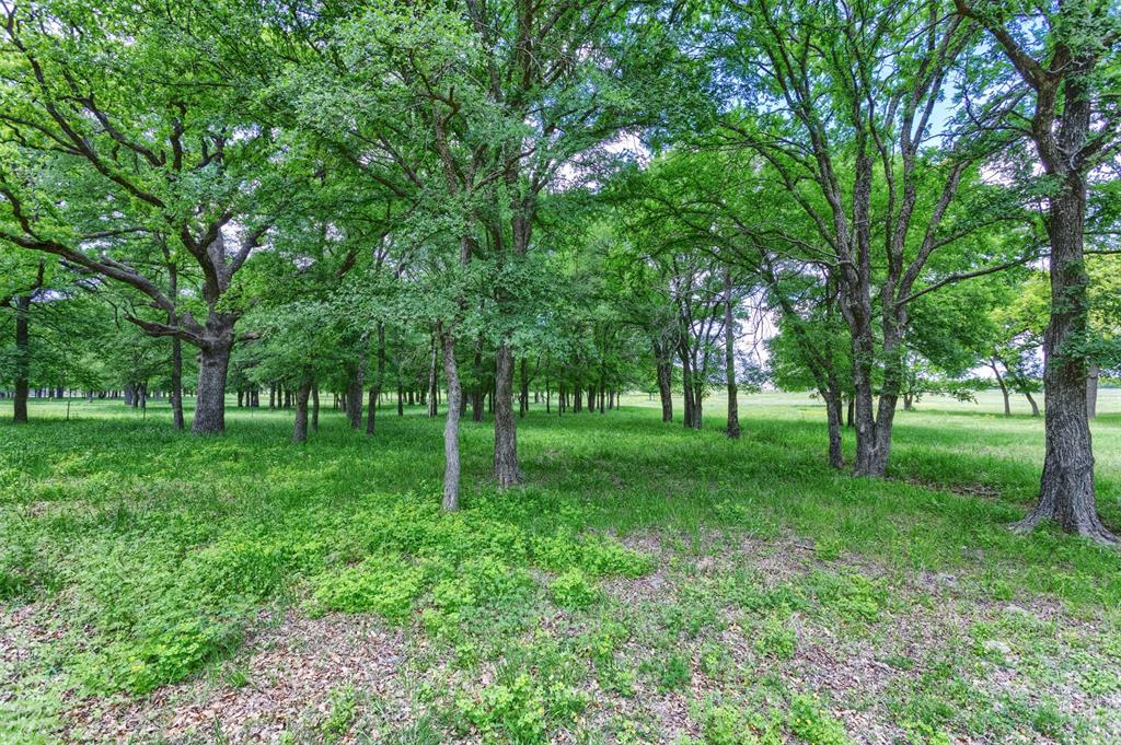 5504 County Road 605 Property Photo 5