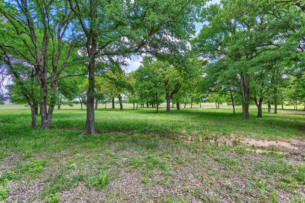 5504 County Road 605 Property Photo 6