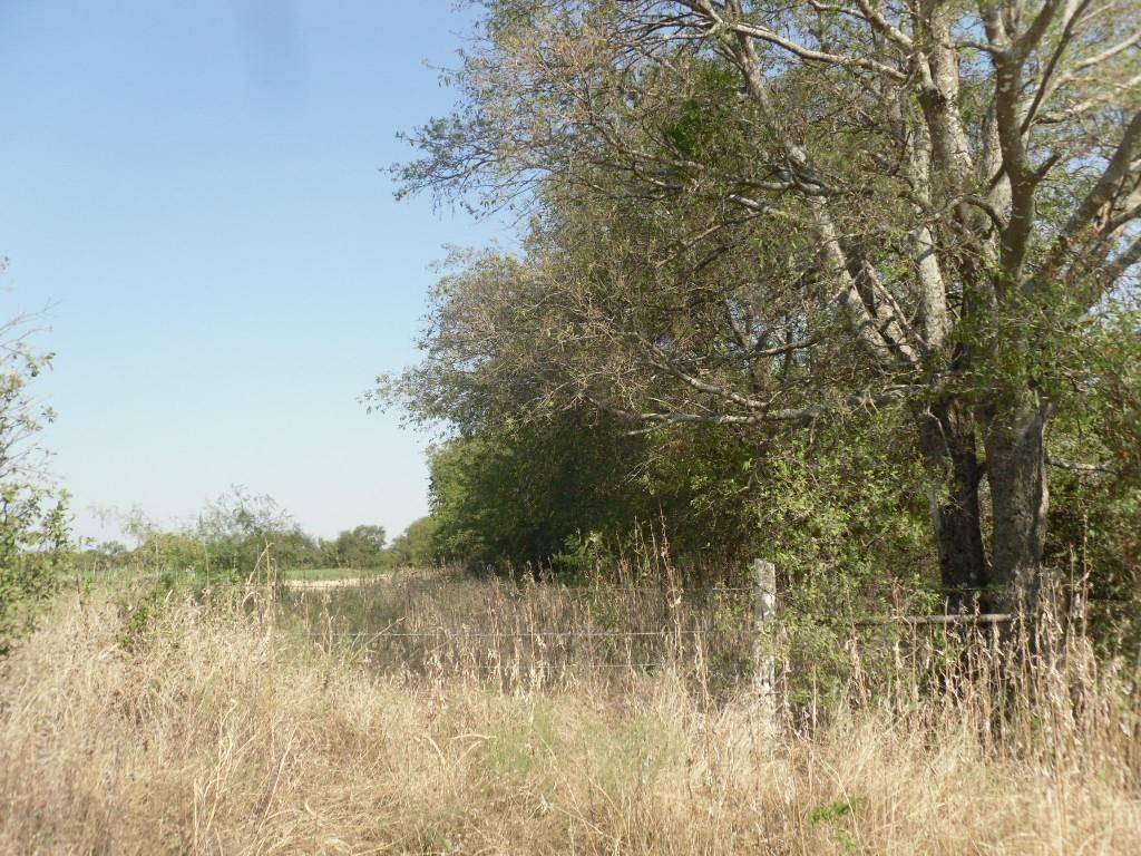 103 Hcr 3361 Property Photo 17