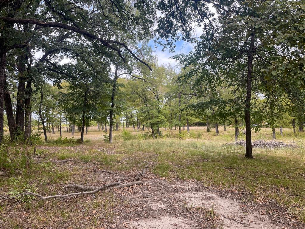 650 County Rd 2607 Property Photo 1