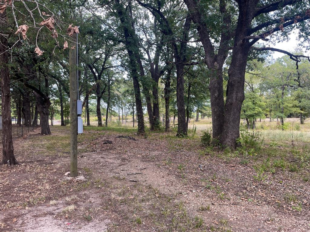 650 County Rd 2607 Property Photo 2