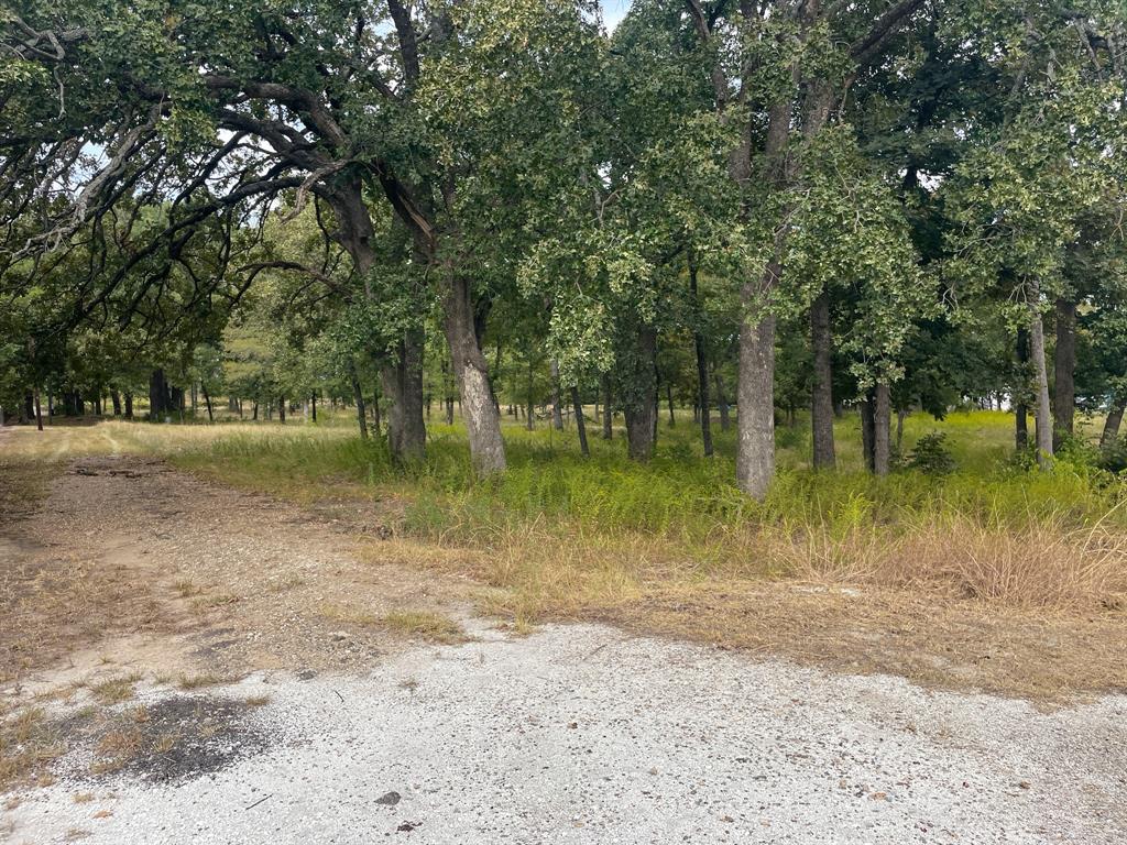650 County Rd 2607 Property Photo 3