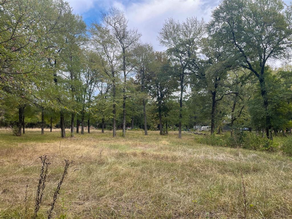 650 County Rd 2607 Property Photo 4