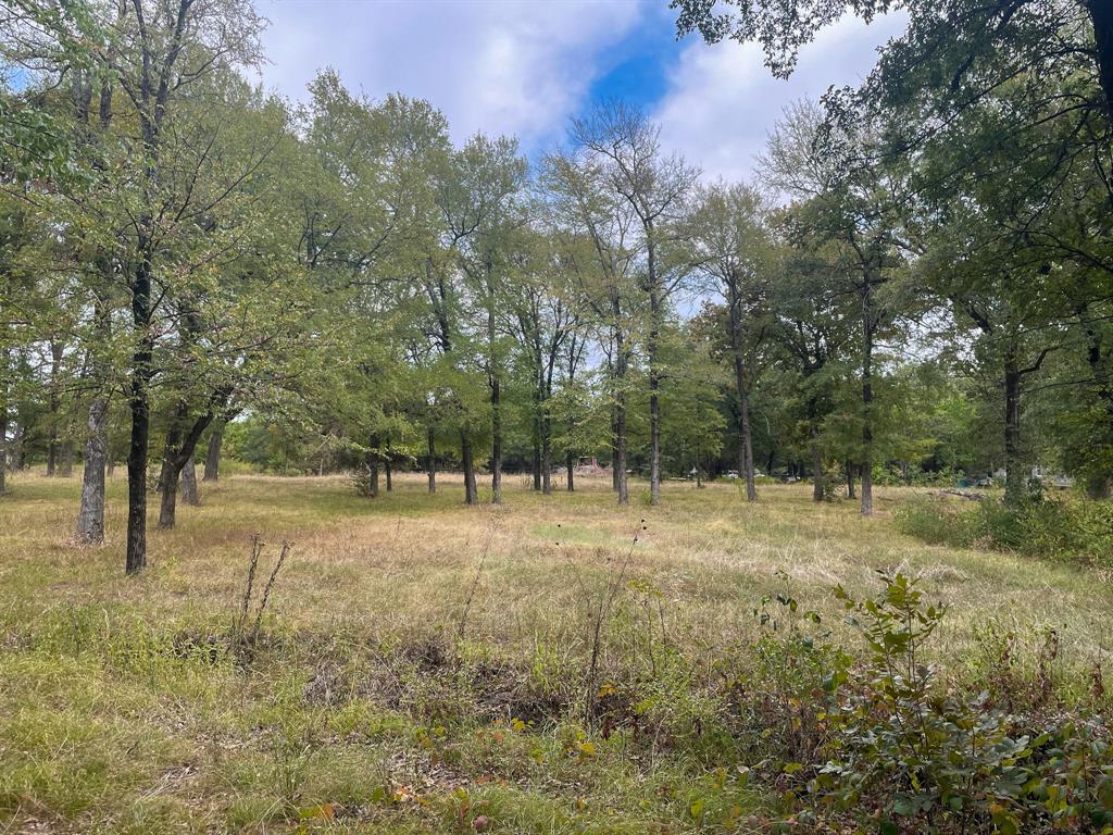650 County Rd 2607 Property Photo 5