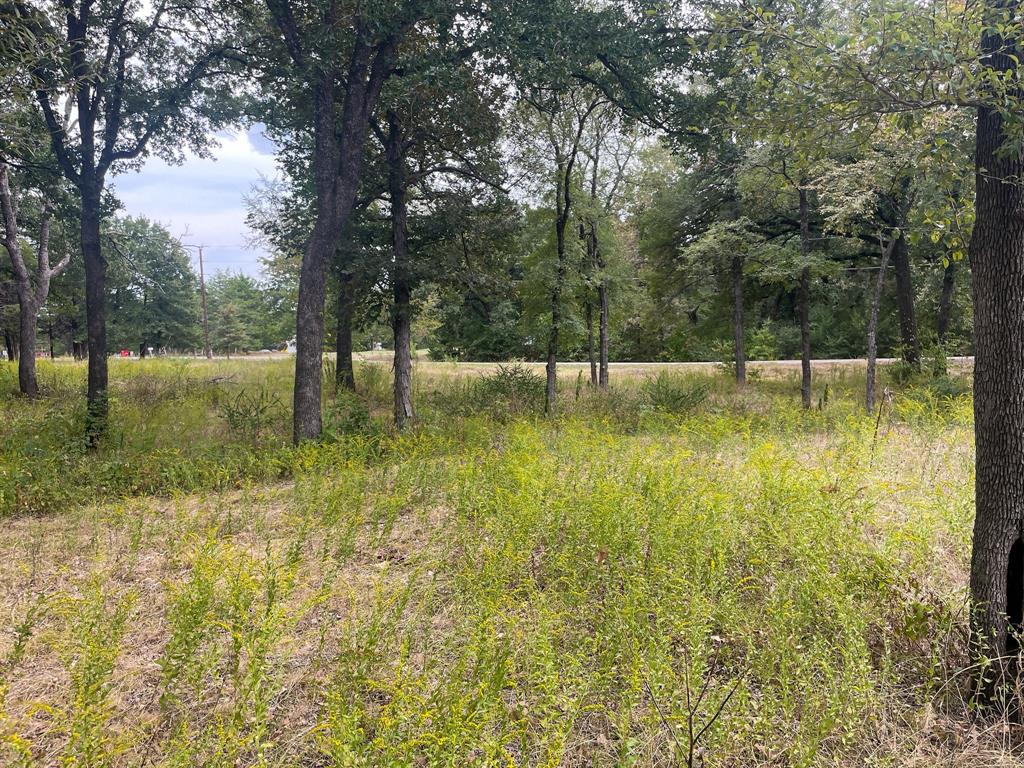 650 County Rd 2607 Property Photo 6