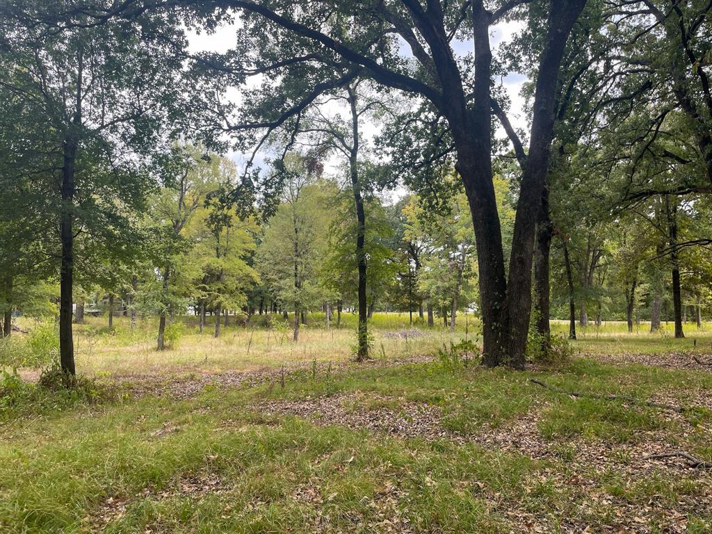 650 County Rd 2607 Property Photo 7