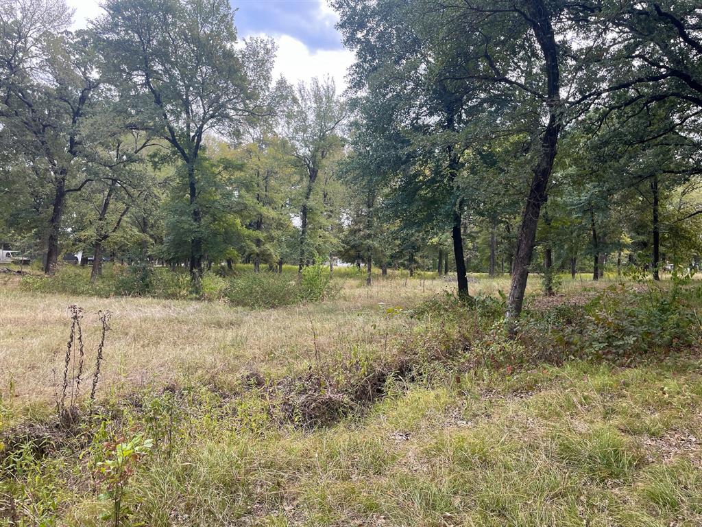 650 County Rd 2607 Property Photo 8