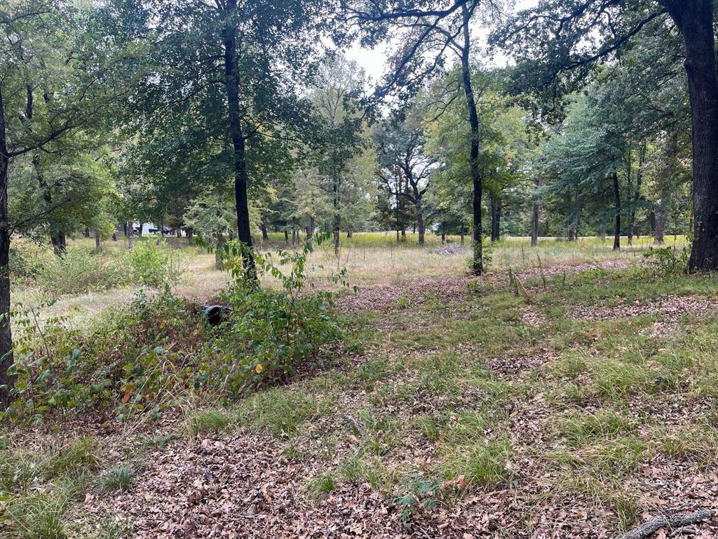 650 County Rd 2607 Property Photo 9