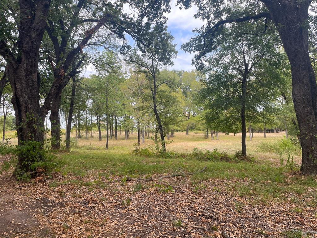 650 County Rd 2607 Property Photo 10