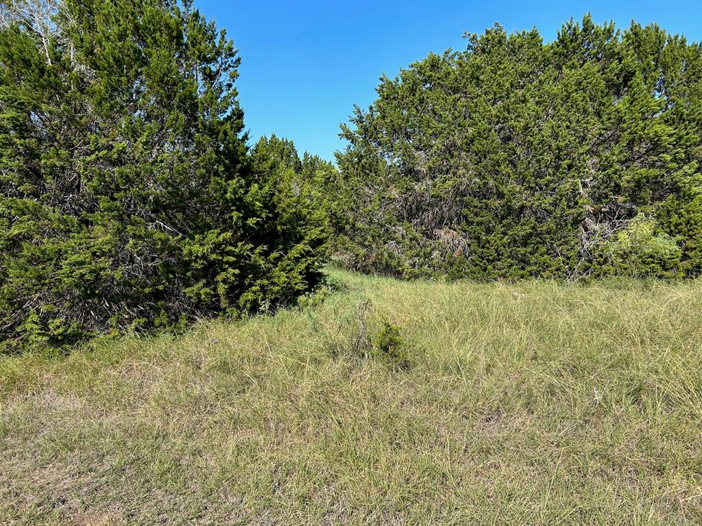 43170 Thistle Trail Property Photo 2